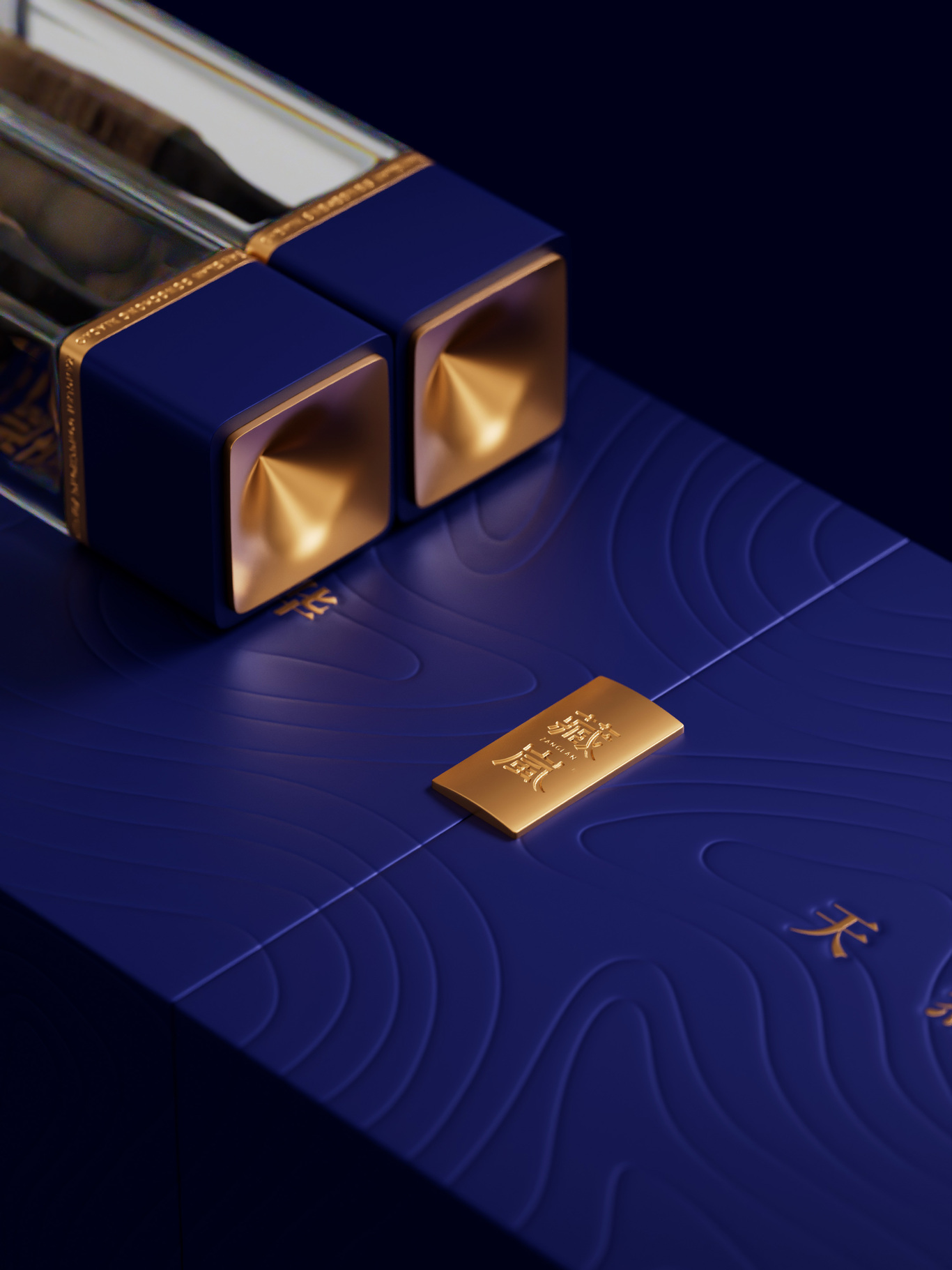 雪域精华，天然滋养 | 藏岚®冬虫夏草产品包装设计图5