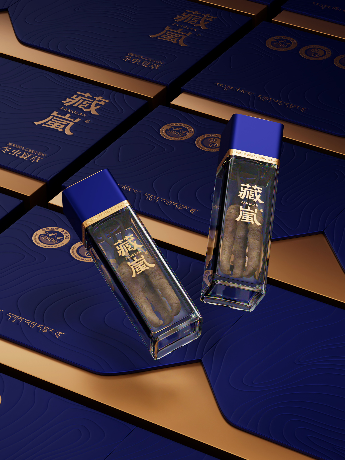 雪域精华，天然滋养 | 藏岚®冬虫夏草产品包装设计图2
