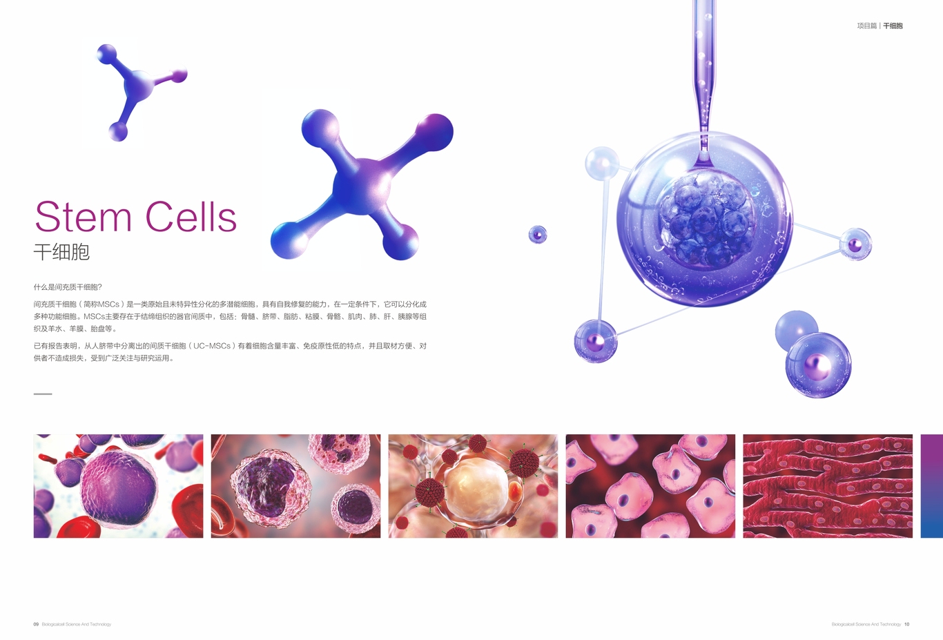 一氧自在医疗科技品牌画册设计图5