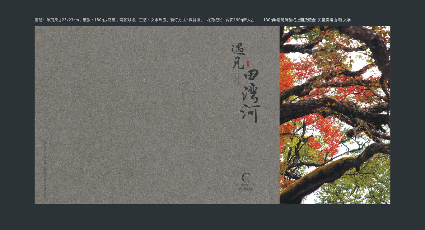 田湾河企业品牌画册设计图0