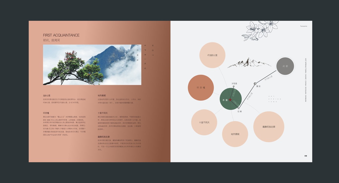 田湾河企业品牌画册设计图6