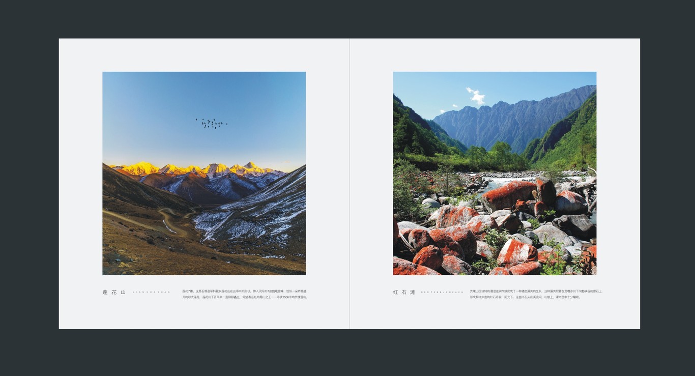 田湾河企业品牌画册设计图14