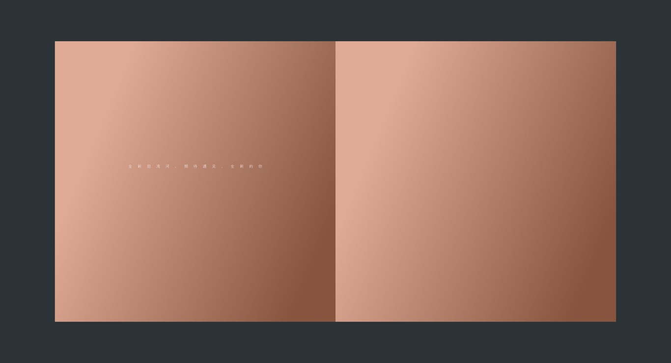 田湾河企业品牌画册设计图28