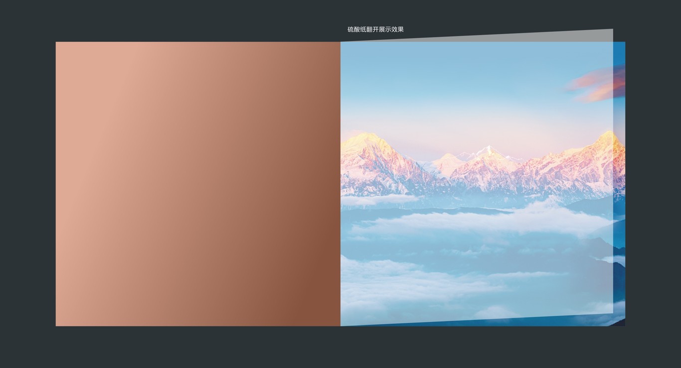 田湾河企业品牌画册设计图2
