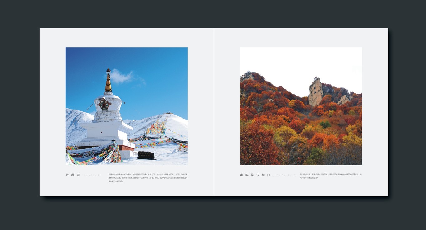 田湾河企业品牌画册设计图13