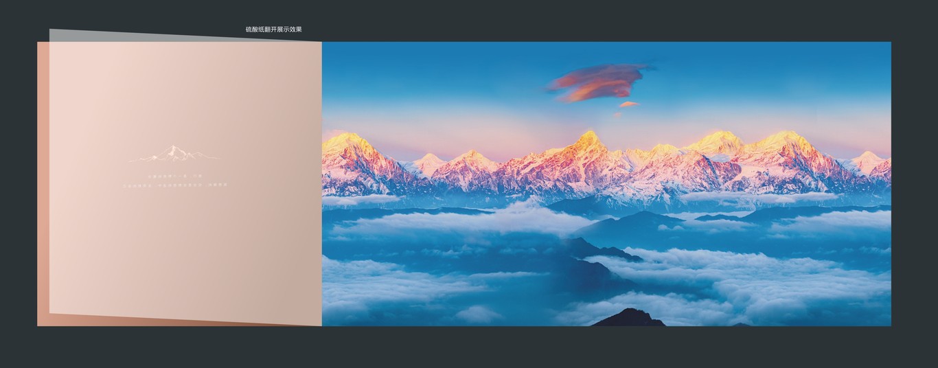 田湾河企业品牌画册设计图3