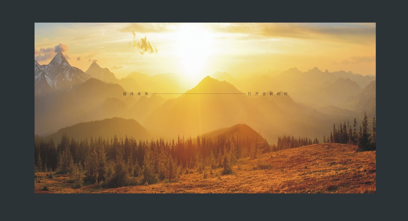 田湾河企业品牌画册设计图23