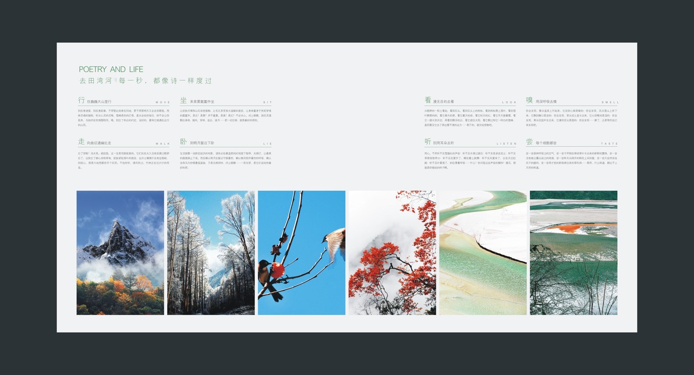 田湾河企业品牌画册设计图5