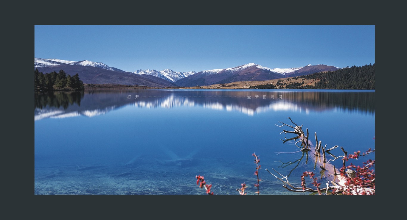 田湾河企业品牌画册设计图7