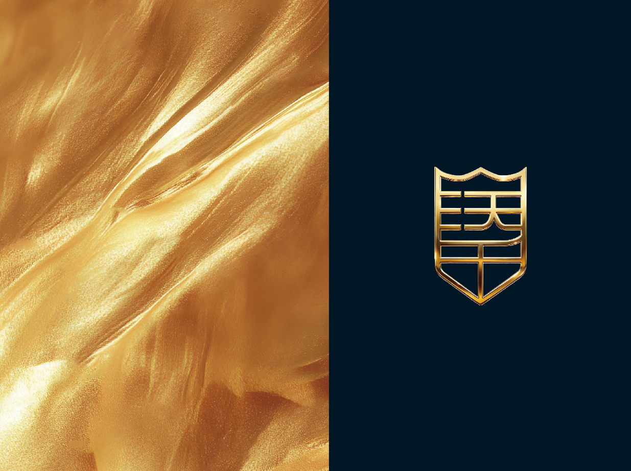 logo及VI应用部分图4