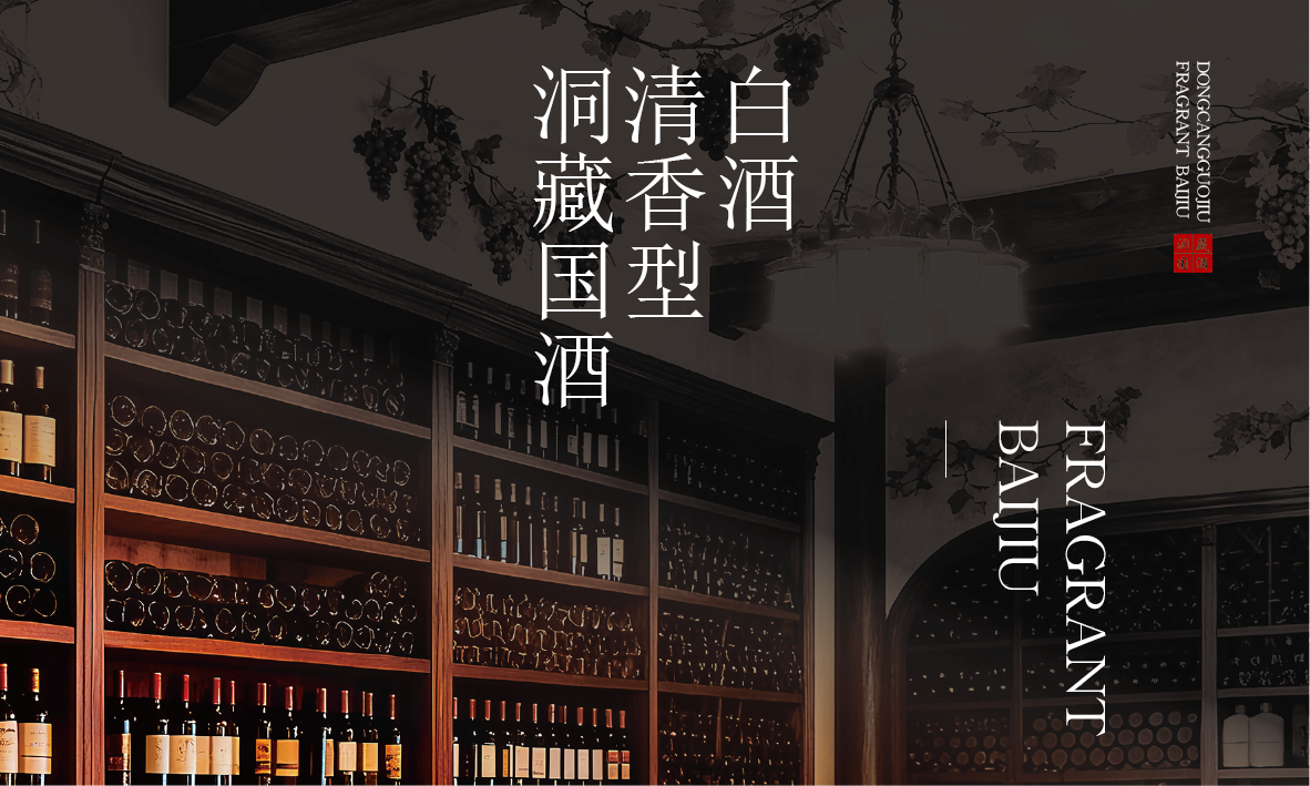 洞藏国酒 酒类包装设计图12