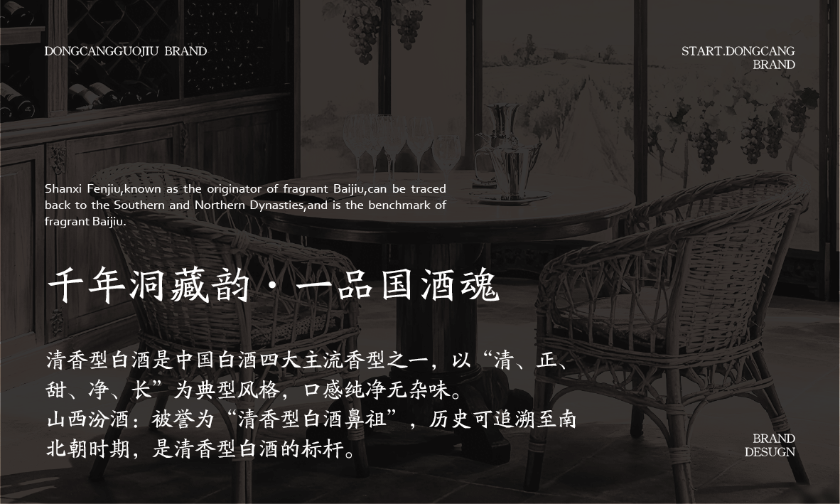 洞藏国酒 酒类包装设计图9