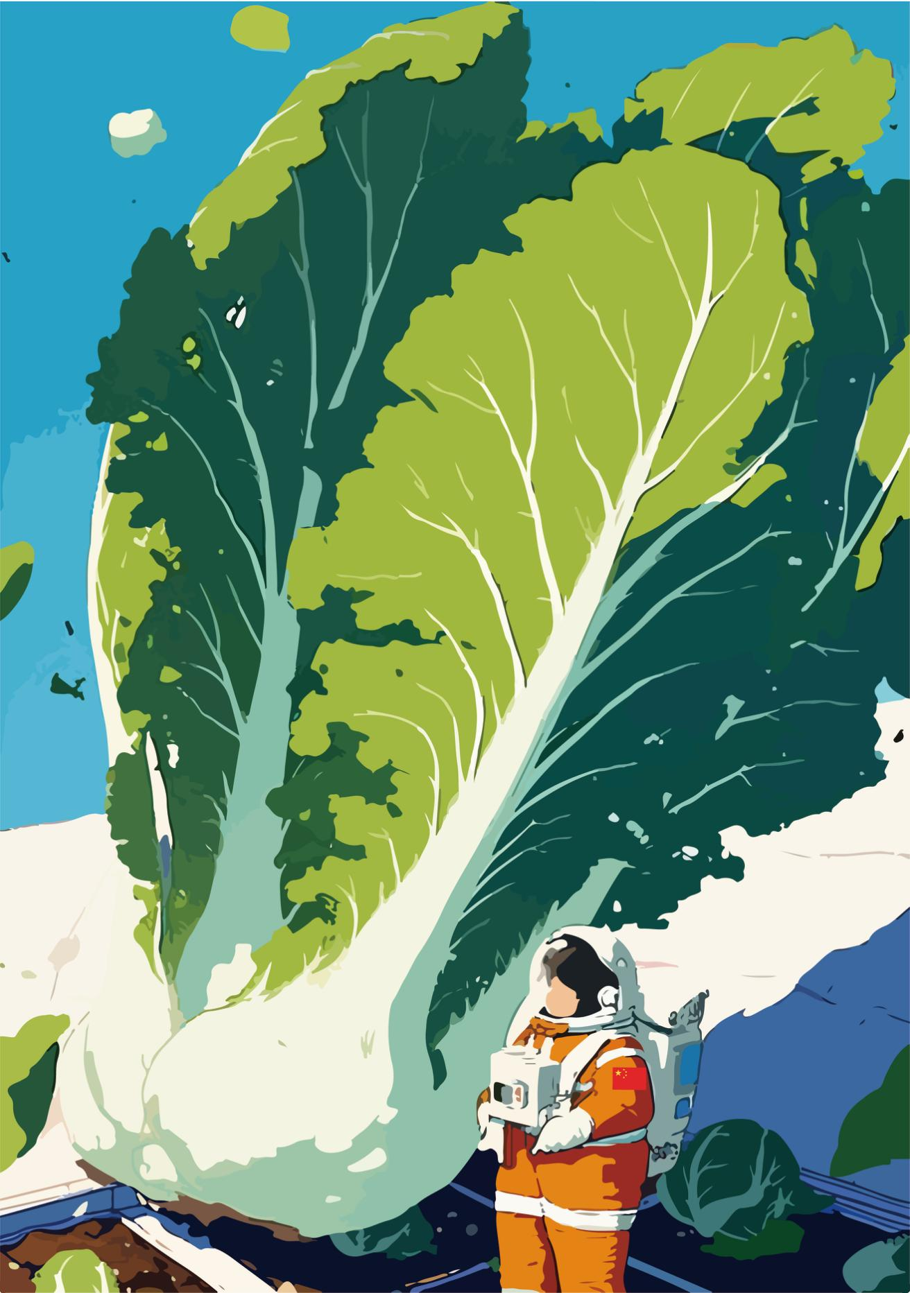 新疆大巴扎 疆来城开业海报设计图11