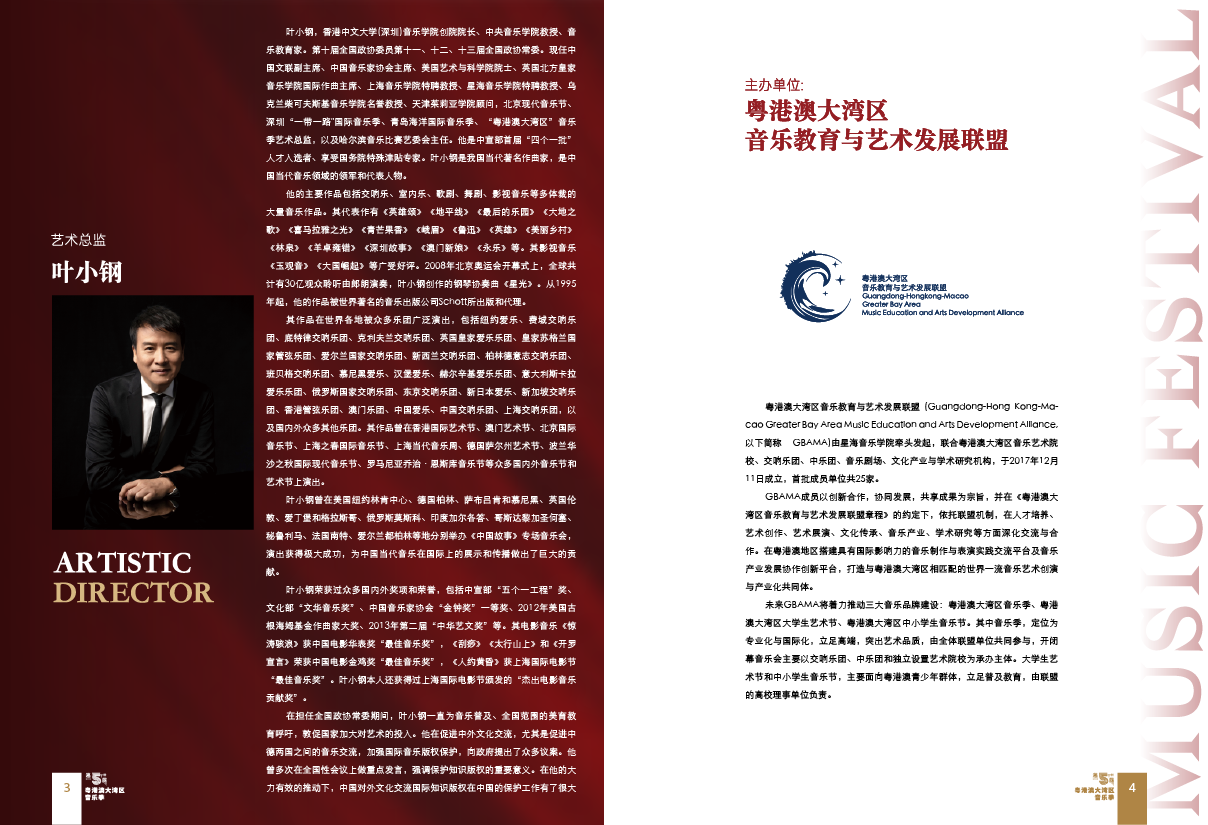 广东省教育局&星海音乐学院 第五届粤港澳大湾区音乐季 视觉设计 宣发物料设计图4