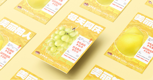 三只果猿|鲜果店LOGO VI设计图4