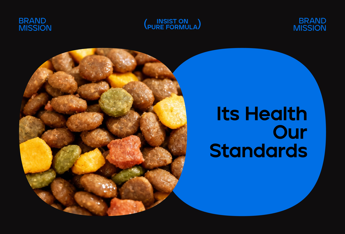 HUPAW 宠物品牌设计 品牌全案设计图14