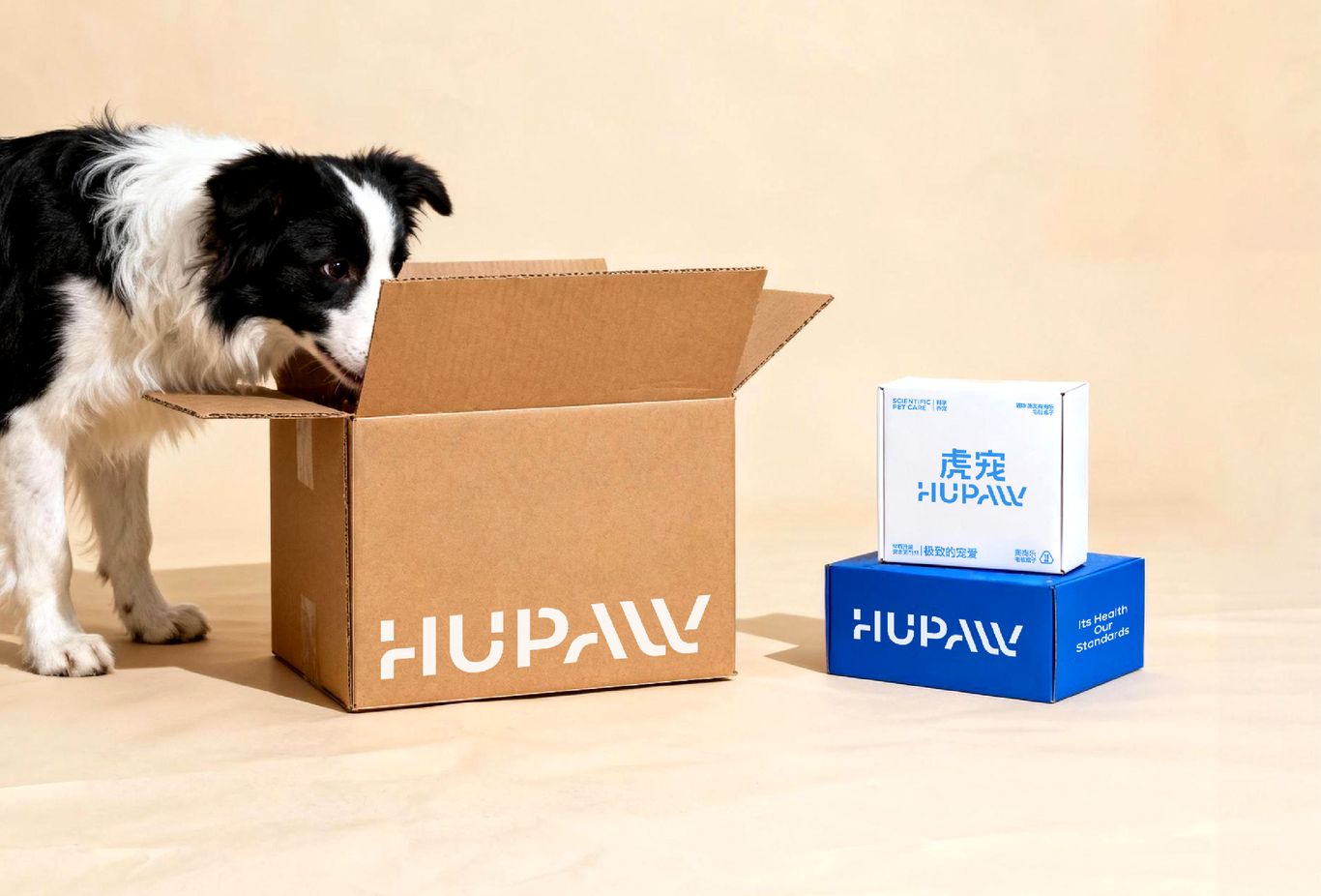 HUPAW 宠物品牌设计 品牌全案设计图29