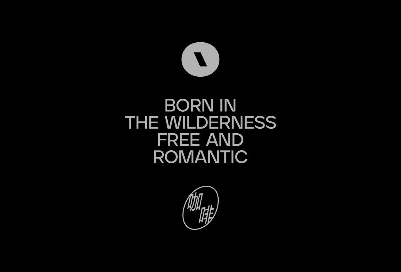 AOKA 咖啡 品牌 设计 视觉全案图10