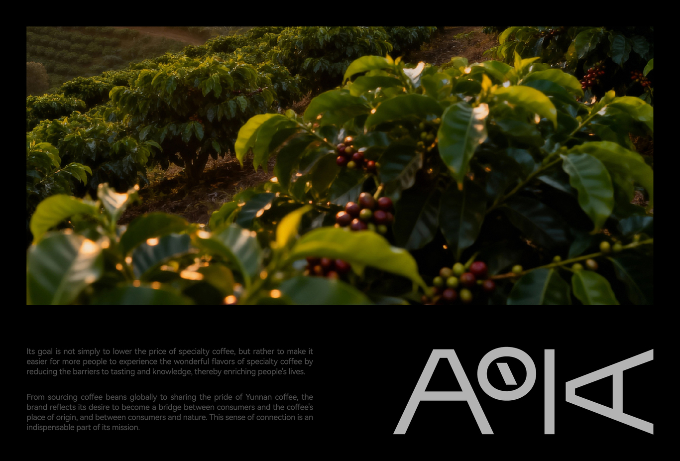 AOKA 咖啡 品牌 设计 视觉全案图14