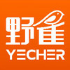 野雀品牌设计