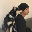 宏邃丶