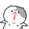 Xinyiiiiiii