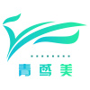 青鸢美视觉传达