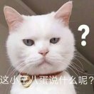 我喜欢闭着眼数星星