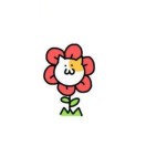 小阿珊