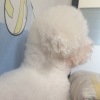 高粱桥斜街一瓶哥