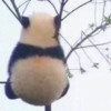 比觀視覺