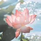 王小明