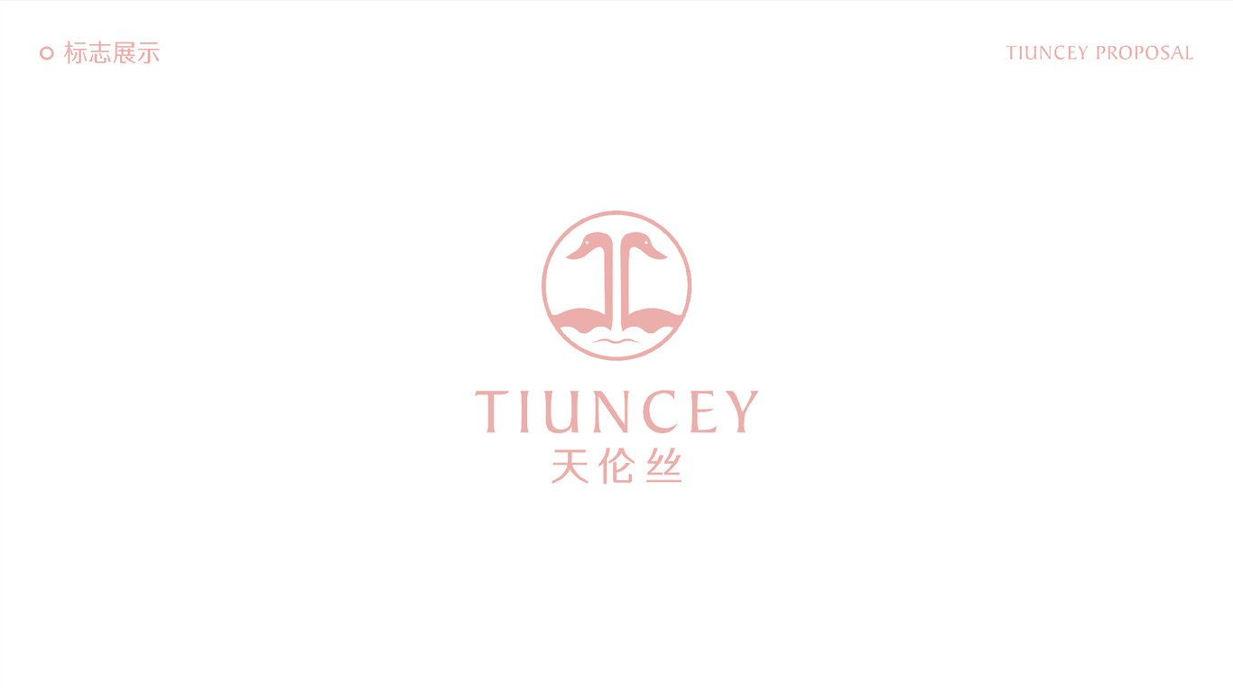 天伦丝TIUNCEY美妆护肤品牌设计VI设计图2